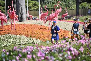 BIB: 
                            <button type="button" onclick="openModal(27794260)" class="btn btn-primary btn-sm float-right btn-popup" data-toggle="modal" data-target=".modal-high-quality">
                        <i class="fas fa-shopping-cart"></i> Add to Cart
                    </button>
                                            <button type="button" onclick="isThisMe(27794260, true)" class="btn btn-success btn-sm float-right btn-popup btn-isme hidden" data-toggle="tooltip" data-placement="bottom" title="นี่คือรูปของคุณใช่ไหม คลิกที่นี่เพื่อเอาเข้าอัลบั้ม">
                        <i class="fas fa-plus"></i> Add to album
                    </button>
                    <button type="button" onclick="isThisMe(27794260, false)" class="btn btn-warning btn-sm float-right btn-popup btn-isnotme hidden">
                        <i class="fas fa-ban"></i> Remove from album
                    </button>